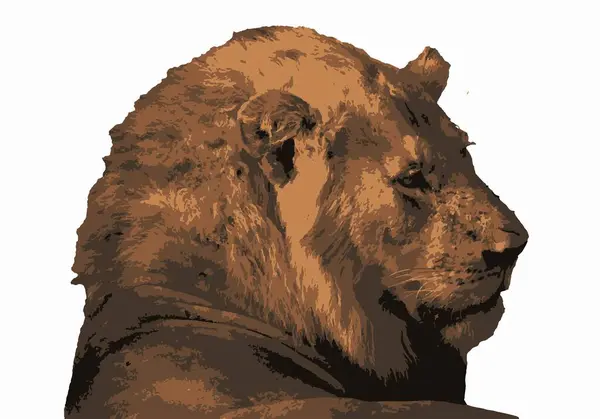 Beyaz arkaplanda Erkek Aslan Yüzü Vektörü