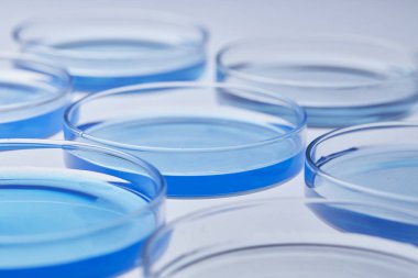 Science laboratory with beaker and dropper