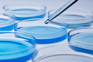 Science laboratory with beaker and dropper