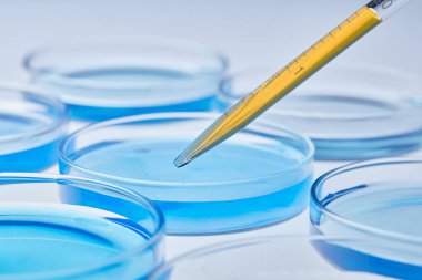 Science laboratory with beaker and dropper