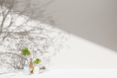Simple monotone background with vases, tree shadows and natural light.