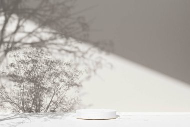 Simple monotone background with vases, tree shadows and natural light.