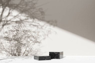 Simple monotone background with vases, tree shadows and natural light.