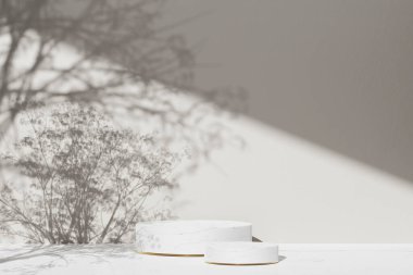 Simple monotone background with vases, tree shadows and natural light.