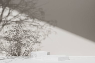 Simple monotone background with vases, tree shadows and natural light.