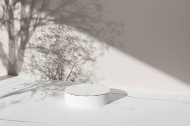 Simple monotone background with vases, tree shadows and natural light.