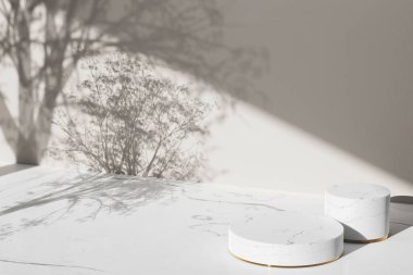 Simple monotone background with vases, tree shadows and natural light.