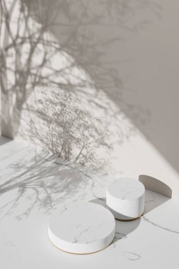 Simple monotone background with vases, tree shadows and natural light.