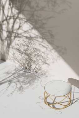 Simple monotone background with vases, tree shadows and natural light.