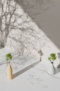 Simple monotone background with vases, tree shadows and natural light.