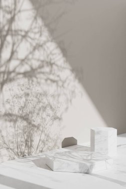 Simple monotone background with vases, tree shadows and natural light.