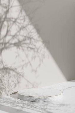 Simple monotone background with vases, tree shadows and natural light.