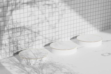 Simple monotone background with vases, tree shadows and natural light.