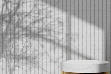 Simple monotone background with vases, tree shadows and natural light.