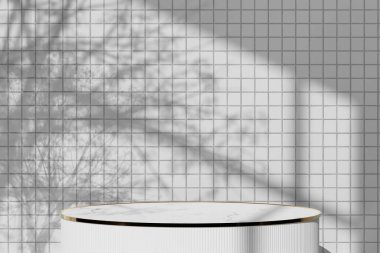 Simple monotone background with vases, tree shadows and natural light.