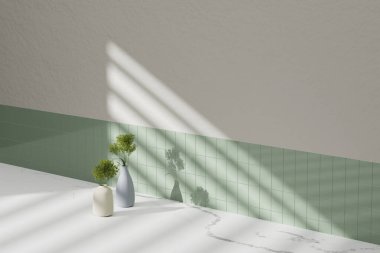 Simple monotone background with vases, tree shadows and natural light.