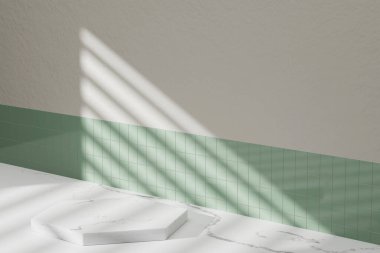 Simple monotone background with vases, tree shadows and natural light.