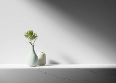 Simple monotone background with vases, tree shadows and natural light.