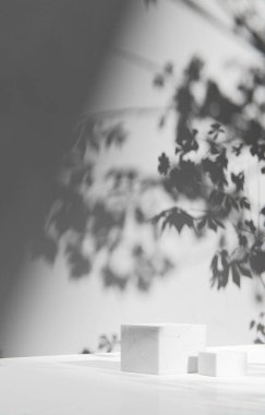 Simple monotone background with vases, tree shadows and natural light.