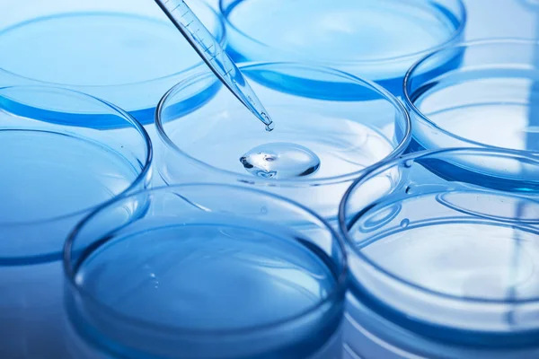 Science laboratory with beaker and dropper