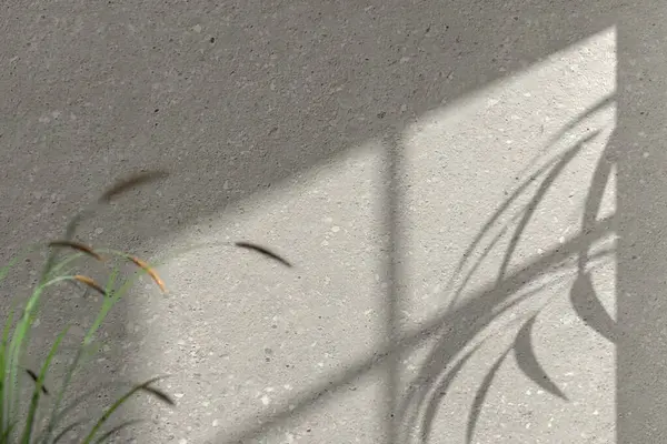 Güneş ışığından gelen doğal gölgeli beton desenli bir duvar çeşitli tasarımlarda kullanılabilen bir pencereden içeri giriyor..