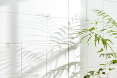 Duvarı ve beyaz fayansları olan beyaz ahşap bir raf. Sıcak güneş ışığı ve doğa tarafından kucaklanan huzurlu bir yer. Uyum, konfor ve zarif güzelliğin bir araya geldiği yer..