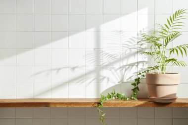 Duvarı ve beyaz fayansları olan beyaz ahşap bir raf. Sıcak güneş ışığı ve doğa tarafından kucaklanan huzurlu bir yer. Uyum, konfor ve zarif güzelliğin bir araya geldiği yer..