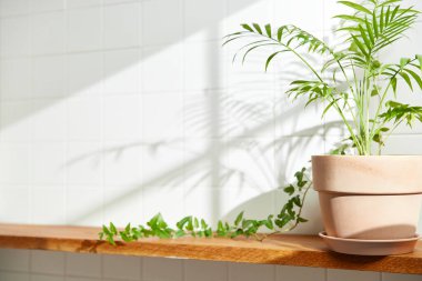 Duvarı ve beyaz fayansları olan beyaz ahşap bir raf. Sıcak güneş ışığı ve doğa tarafından kucaklanan huzurlu bir yer. Uyum, konfor ve zarif güzelliğin bir araya geldiği yer..