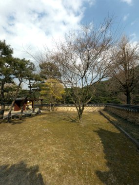 Hanok 'un sessiz gölgeleri ve doğal dokuları seni huzur ve nostalji alanına davet ediyor..