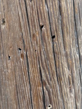 Çeşitli tasarımlar için arka plan olarak kullanılabilen eski ahşap.