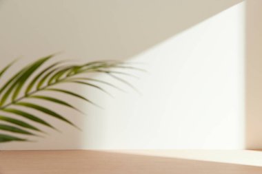 Minimum Yaşam Alanında Sabah Işığı ve Doğal Gölgeler.