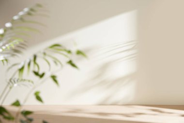 Minimum Yaşam Alanında Sabah Işığı ve Doğal Gölgeler.