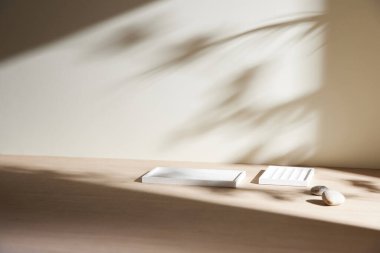 Minimum Yaşam Alanında Sabah Işığı ve Doğal Gölgeler.