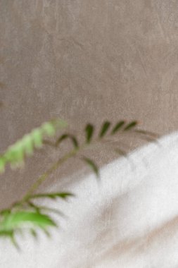 Minimum Yaşam Alanında Sabah Işığı ve Doğal Gölgeler.