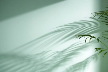 Minimum Yaşam Alanında Sabah Işığı ve Doğal Gölgeler.