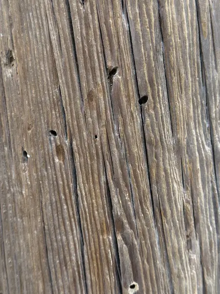 Çeşitli tasarımlar için arka plan olarak kullanılabilen eski ahşap.