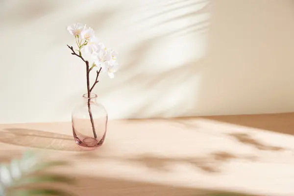 Minimum Yaşam Alanında Sabah Işığı ve Doğal Gölgeler.