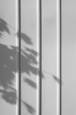 Yumuşak ışık ve gölgeler basit dokulu duvarlarda.