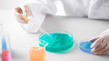 Modern Laboratuvar Ayarlarında Bilimsel Deneyler Yapan Eller.