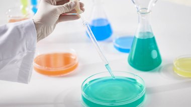 Modern Laboratuvar Ayarlarında Bilimsel Deneyler Yapan Eller.