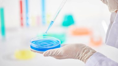 Modern Laboratuvar Ayarlarında Bilimsel Deneyler Yapan Eller.