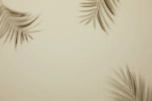 bej duvar arkaplanındaki beyaz ve siyah tüy, soyut arkaplan