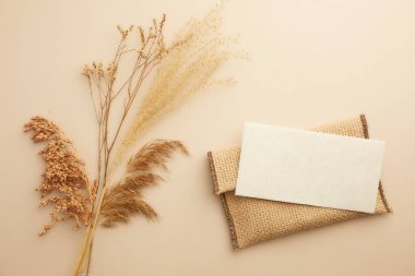 Beyaz arka planda boş kağıt kart ve otlar. Üst görünüm, düz görünüm, kopyalama alanı