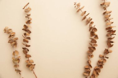 Kurumuş çiçeklerin farklı tiplerdeki kurumuş çiçekleri.