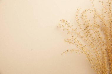 Kuru bitkilerin yakın plan çekimi.