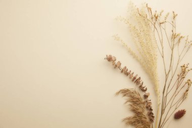 Kuru otların kurumuş çiçekleri. Vazoda kurumuş çiçekler. Bir buket çiçek..