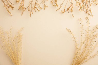 Beyaz arka planda kurumuş altın çiçekler. Boşluğu kopyala