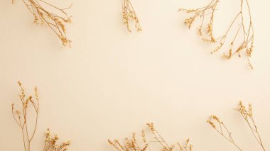 Beyaz Arkaplanda Kurumuş Çiçekler.