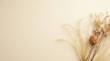 Beyaz yüzeyde fotokopi alanı olan kuru çim manzarası. asgari kavram.