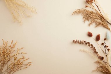 Sonbahar kompozisyonu. Kuru yapraklardan kurumuş çiçekler. düz alan, üst görünüm, kopyala boşluk.